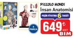 PİCCOLO MONDİ İNSAN ANATOMİSİ 8 PARÇA